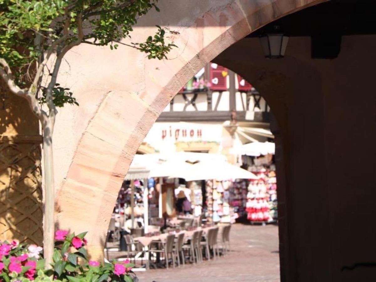 Appartement Spacieux A Colmar Avec Terrasse, Garage Privatif, Proche Centre Et Gare - Fr-1-722-2 Εξωτερικό φωτογραφία