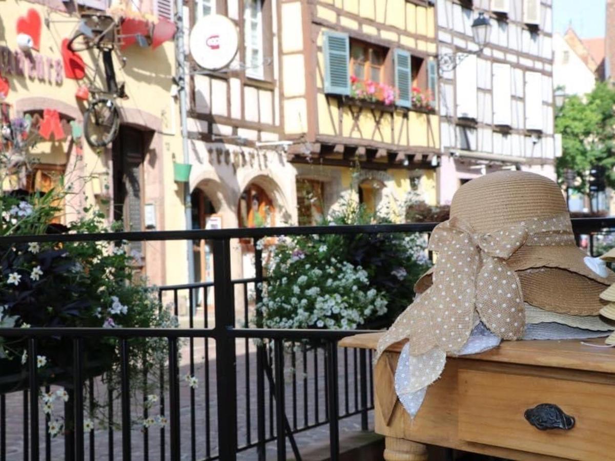 Appartement Spacieux A Colmar Avec Terrasse, Garage Privatif, Proche Centre Et Gare - Fr-1-722-2 Εξωτερικό φωτογραφία